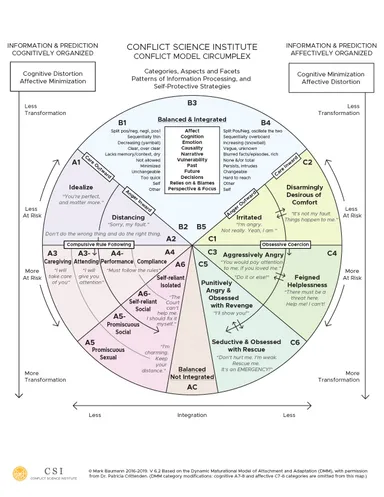 CSI Conflict Model Circumplex